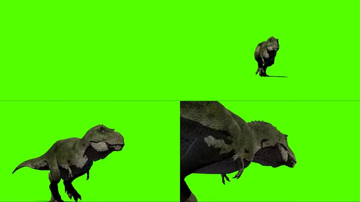 恐龙 绿幕抠像 三维恐龙 