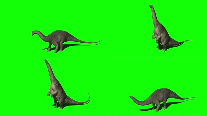 恐龙 绿幕抠像 三维恐龙  