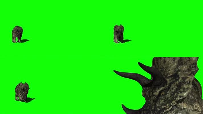 恐龙 绿幕抠像 三维恐龙  