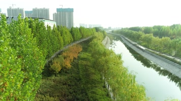 绿化喷灌（4K50帧）