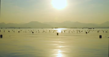 杭州西湖下午晚霞游船视频素材 杭州西湖下午晚霞游船视频素材