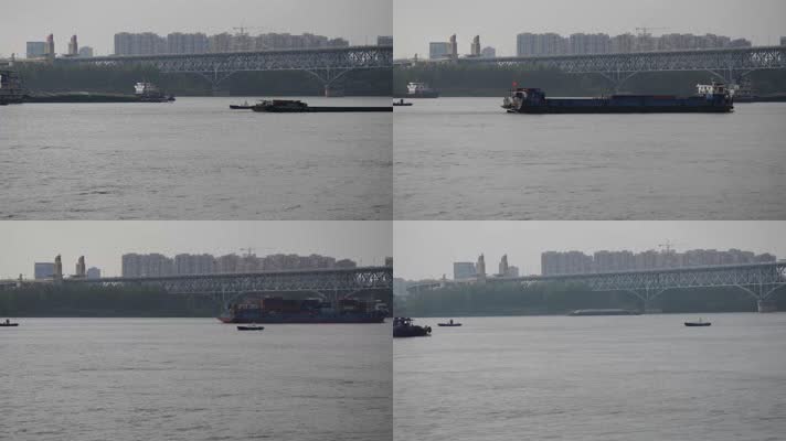 南京长江大桥下江豚与货船和谐相处