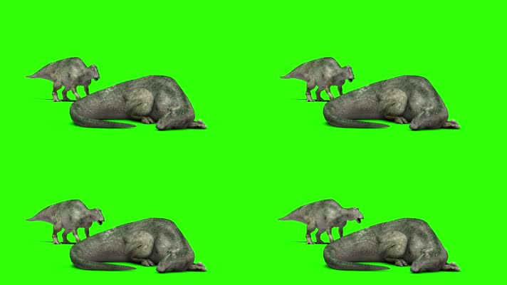 恐龙睡觉绿屏