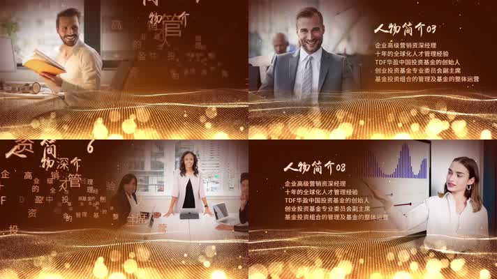 017金色图文人物展示