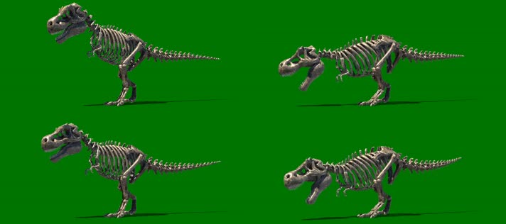 霸王龙化石咆哮绿屏