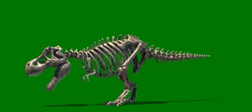 霸王龙化石咆哮绿屏