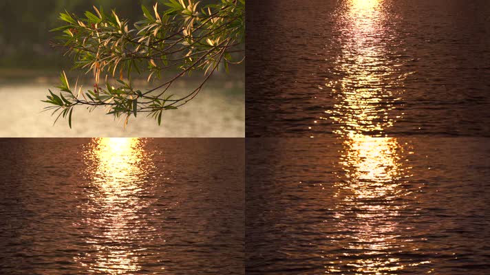 波光粼粼的金色水面