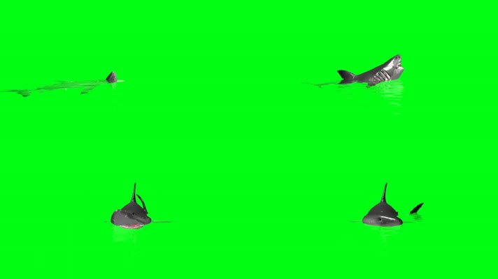 鲨鱼绿屏 (6)