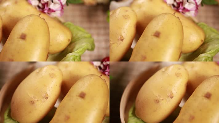 土豆马铃薯 (7)