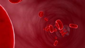 改善血管血液微循环 改善血管血液微循环