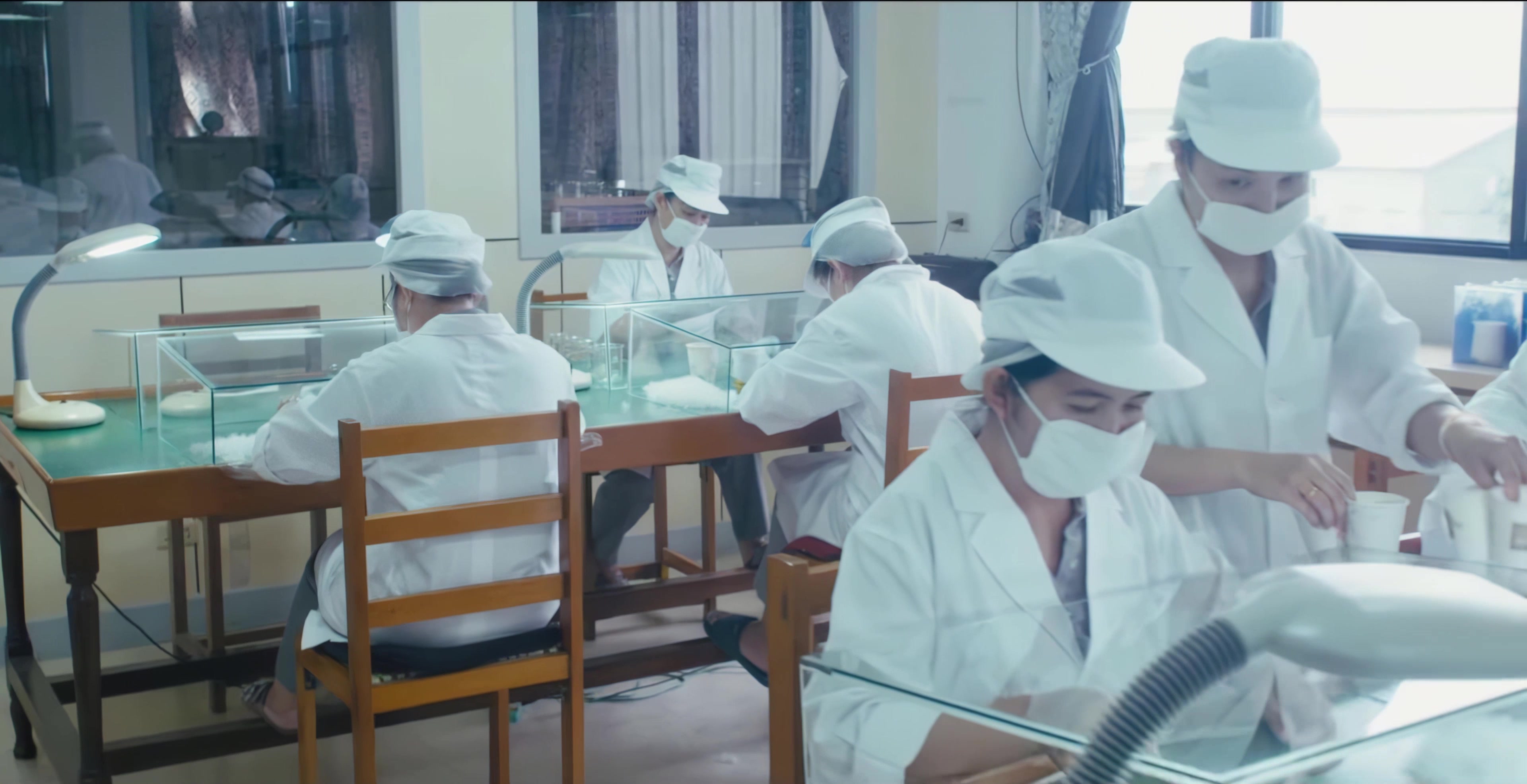 羽绒毛，羽绒服，高端羽绒加工