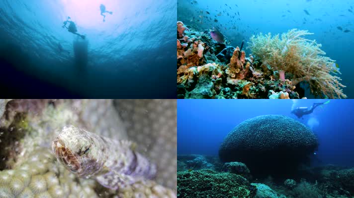 潜水海底世界水下世界