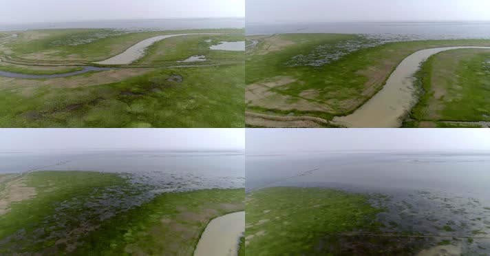 江西鄱阳湖生态环境4K航拍