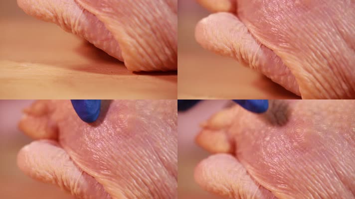 鸡肉肉质质量检查 (11)