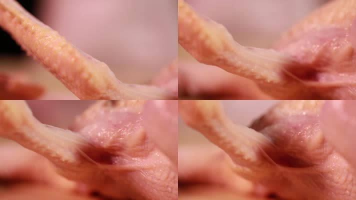 鸡肉肉质质量检查 (14)