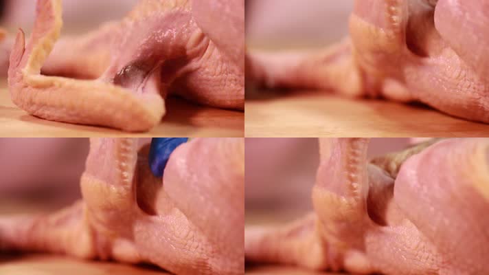 鸡肉肉质质量检查 (13)