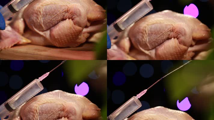 鸡肉注水实验肉质辨别 (4)