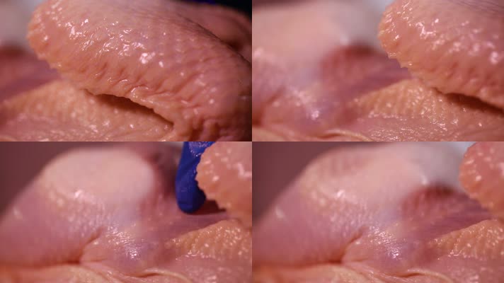 鸡肉注水实验肉质辨别 (45)