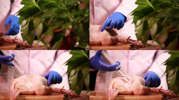 鸡肉注水实验肉质辨别 (25)