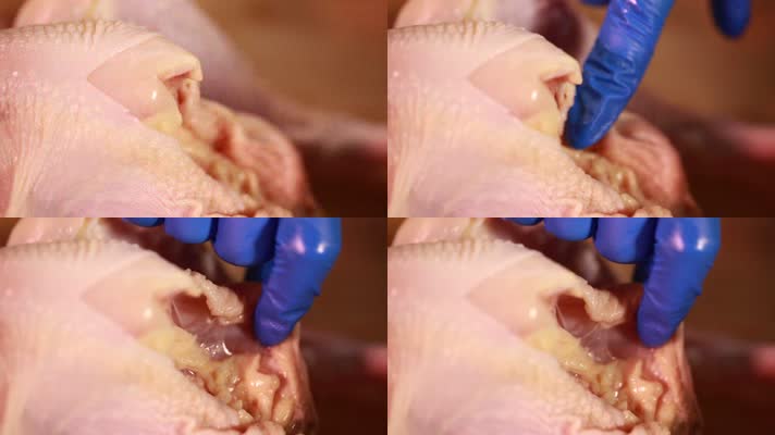 鸡肉注水实验肉质辨别 (17)