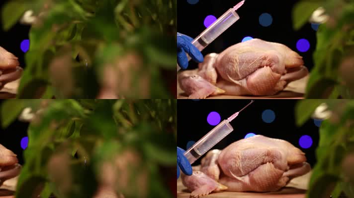 鸡肉注水实验肉质辨别 (3)