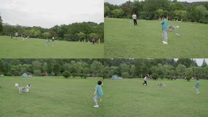 孩子和爱犬公园里打球