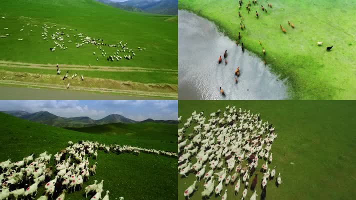 内蒙古大草原羊群牧民河流