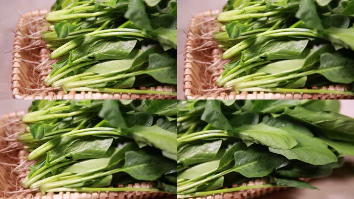 蔬菜绿色菠菜补铁 (1)