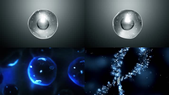 活化细胞水分子粒子光效