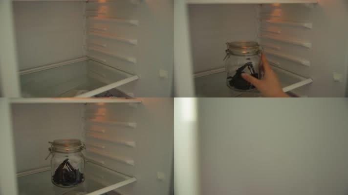 冰箱密封罐储藏茄子干 (1)