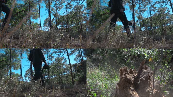 慢镜头视频森林里踢碎朽木