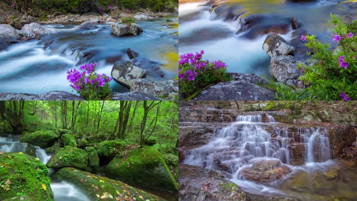 【4K】唯美小溪流水泉水山泉山涧自然生态