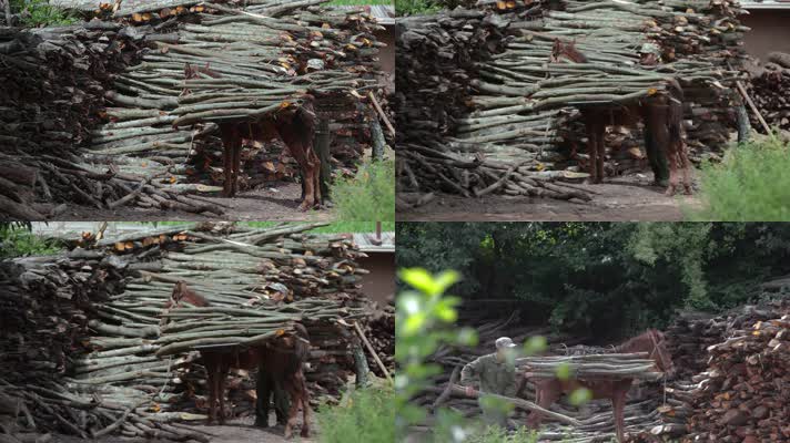农村木材堆积视频偏远山村砍伐树木堆放处