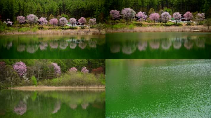 自然美景，湖光山色，绿水青山
