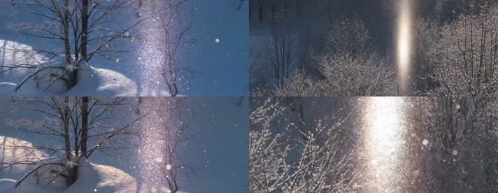 森林雪景，白雪阳光反射反光，晶莹剔透