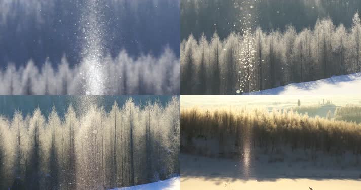 森林雪景，白雪阳光反射反光，晶莹剔透