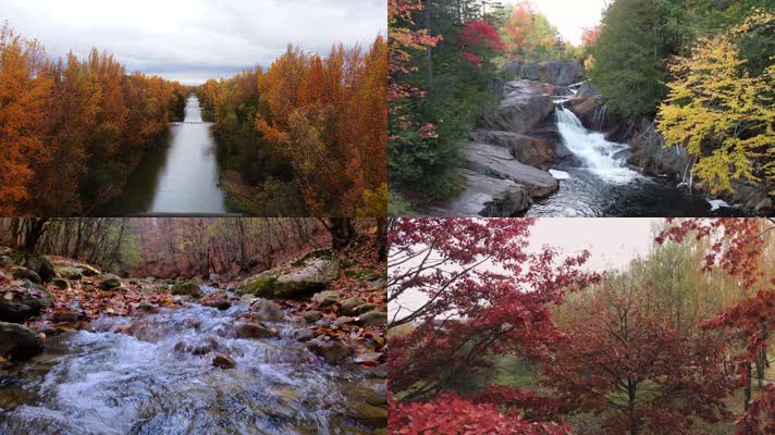 秋天森林落叶河流