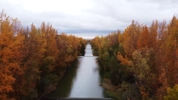 秋天森林落叶河流