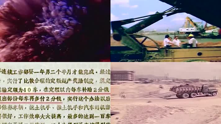 1980年代深圳蛇口工业区建设 1980年代深圳蛇口工业区建设