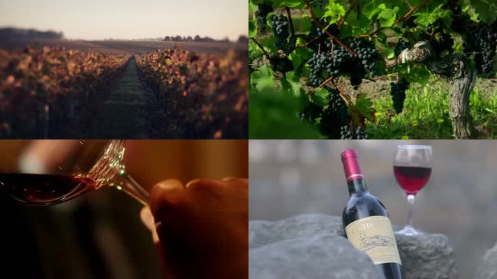 【高清】葡萄酒 红酒生产制造过程