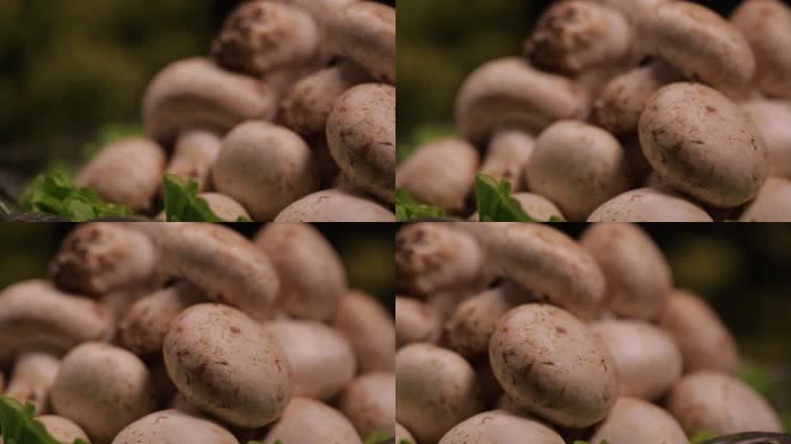 白蘑菇口蘑 (3)