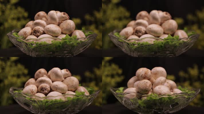 白蘑菇口蘑 (2)