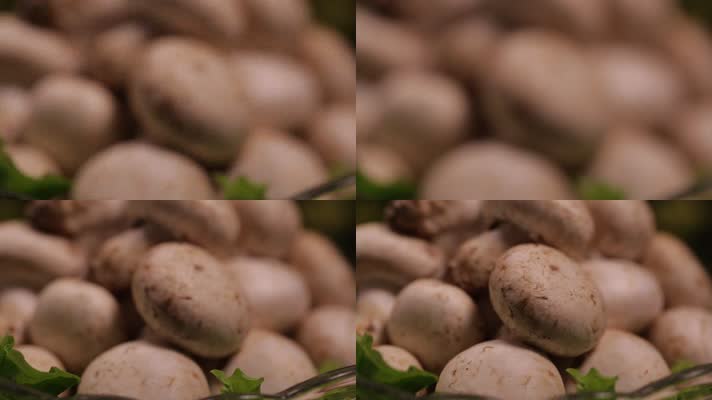 白蘑菇口蘑 (4)