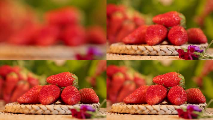 水果草莓 (4)