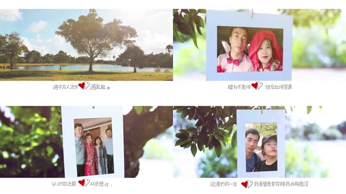 【原创】抖音高端求婚往后余生婚礼视频