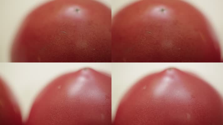 番茄西红柿 (8)
