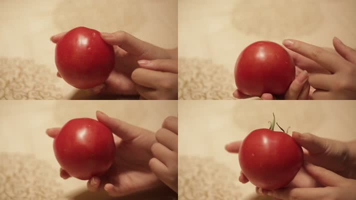 番茄西红柿 (6)