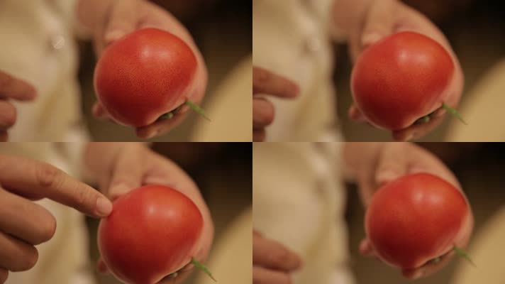 番茄西红柿 (2)