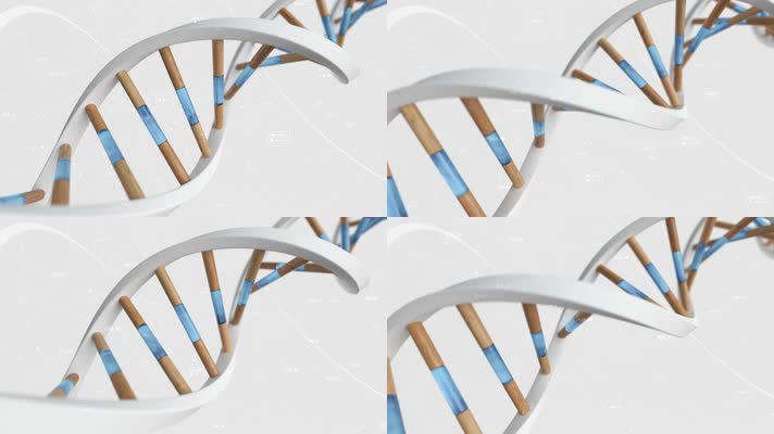 DNA立体基因链