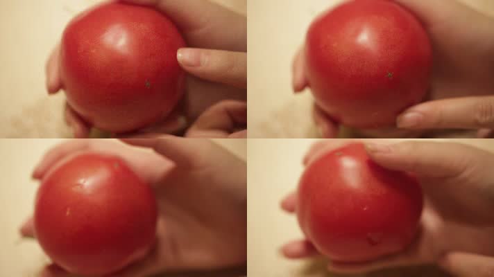 番茄西红柿 (7)